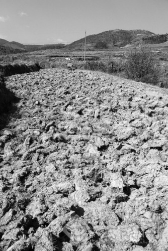 ˮ��׃���� ���^�� �z