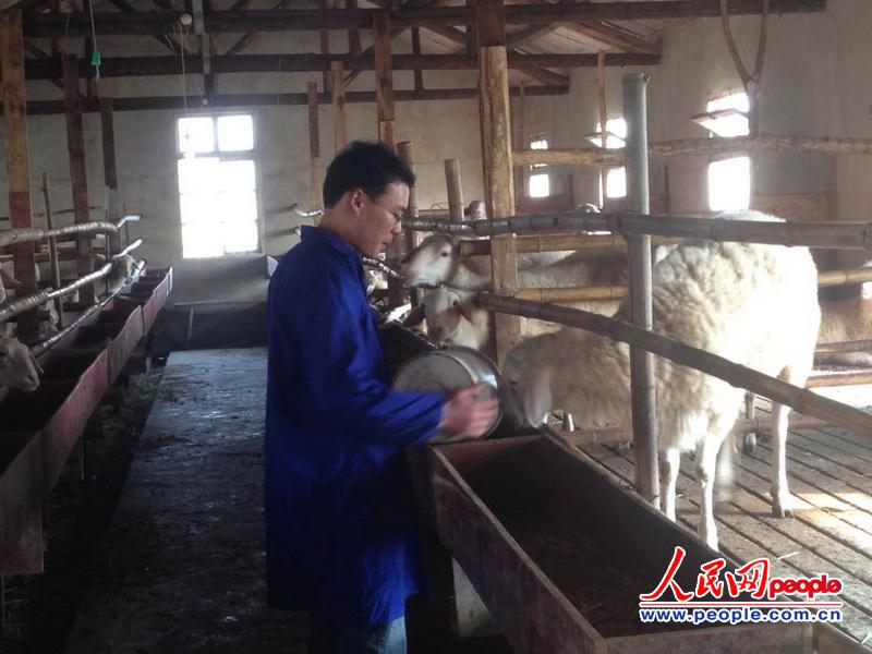 ���i�w����ι����������W(w��ng) ������ �z��